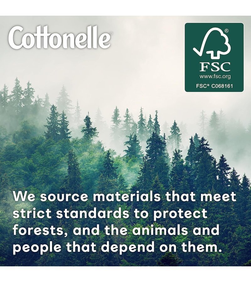 img-09adbf5b95e78ed9c8ff7506493ec17e