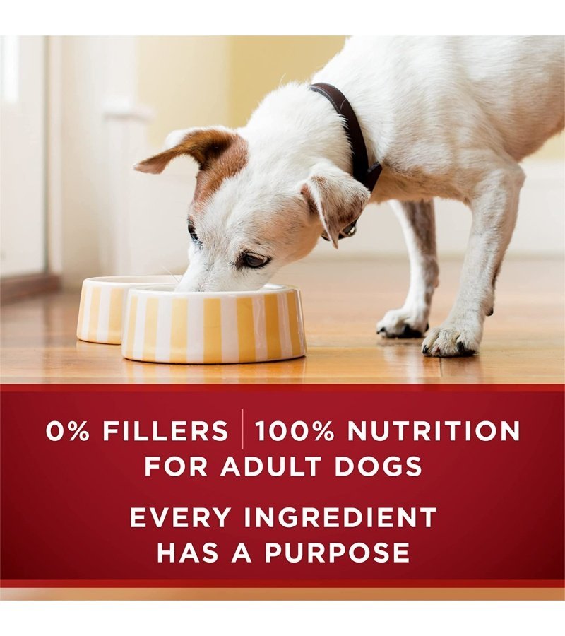 img-204ceaef4baa4466ea88f777e52191b5