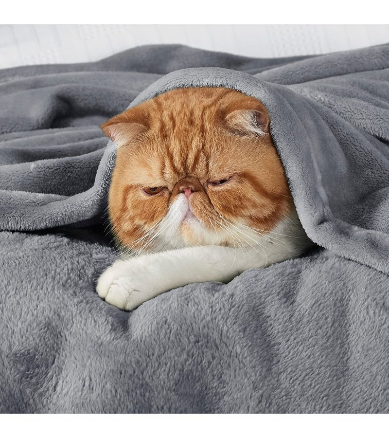 img-29812fdc362b15d59bbce589c812847d