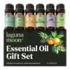 Essential Oils Set ?C Top 6 Organic Blends for Diffusers. Home Care. Candle Making. Fragrance. Aromatherapy. Humidifiers. Gifts ?C Peppermint. Tea Tree. Lavender. Eucalyptus. Lemongrass. Orange (10mL)